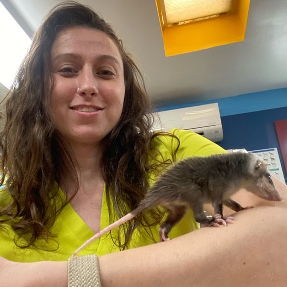 Meet your Posher, Holly - Picture 11 of 15